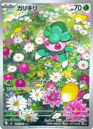 Fomantis - 82/81
